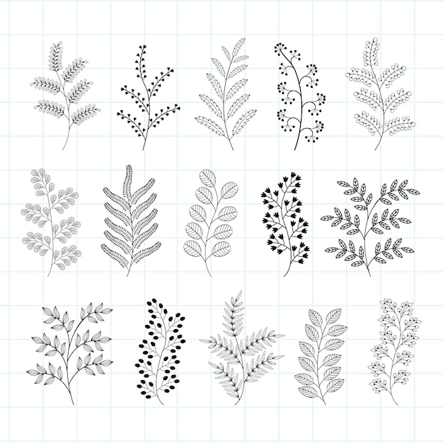 Set of hand drawn botanical elements and tree branches