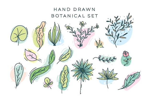 Set of hand drawn botanical elements