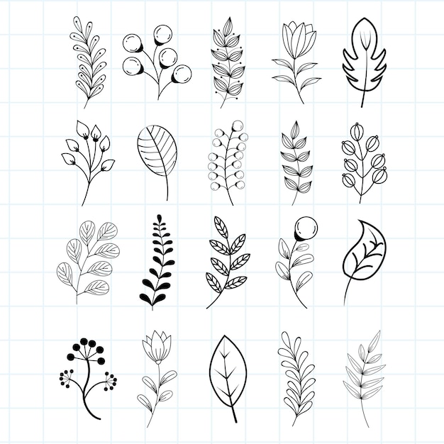 Vector set of hand drawn botanical and floral decoration elements