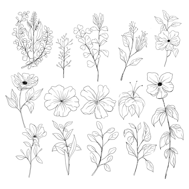 Set hand drawn botanical floral decorative elements