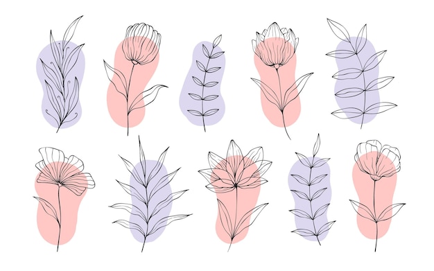 Set of hand drawn botanical flower elements. vector illustration isolated on white background