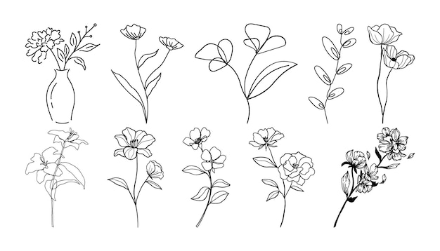 Set of hand drawn botanical flowers line art vector Collection of foliage leaf branches floral f