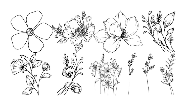 Vector set of hand drawn botanical flowers line art vector collection of foliage leaf branches floral