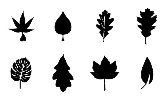 Set of hand drawn botanical leaf doodle vector