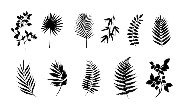 Set of hand drawn botanical leaf and floral abstract doodle line art vector