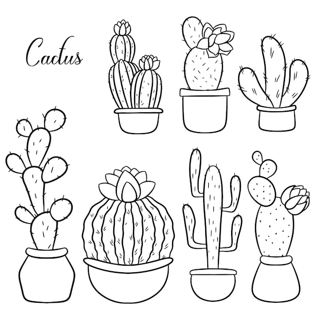 Set of hand drawn cacti in pots