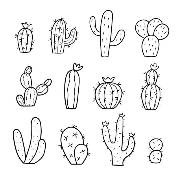 Set di cactus disegnati a mano. schizzo di scarabocchio. collezione di piante esotiche. illustrazione lineare di vettore.