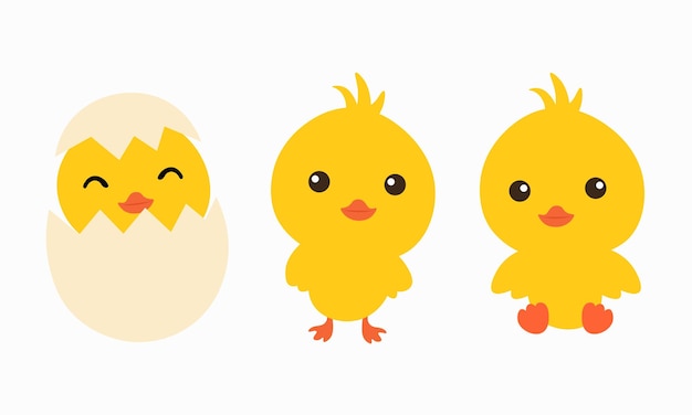 set of hand drawn chick clipart