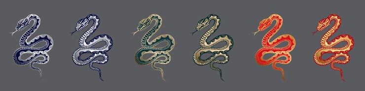Vector set of hand drawn coiled snakes with detailed decorated scaled skin for 2025 chinese new year
