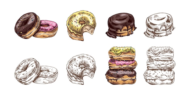 A set of hand drawn colored and monochrome sketches of donuts Vintage illustration Pastry dessert