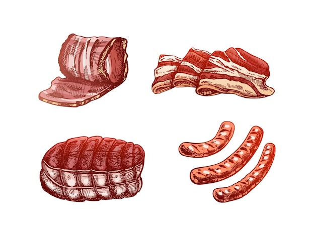 손으로 그린 색의 고기 조각 스케치 세트 베이컨 햄 돼지고기 소시지 신선한 고기 제품