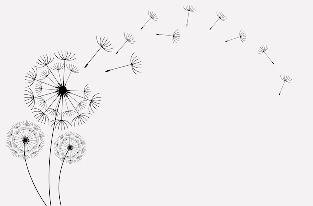 Set of hand drawn dandelion flowers  Conceptual illustration of freedom and serenity