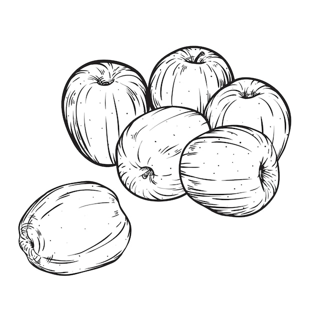 Vector set of hand drawn doodle apple illustration in sketch