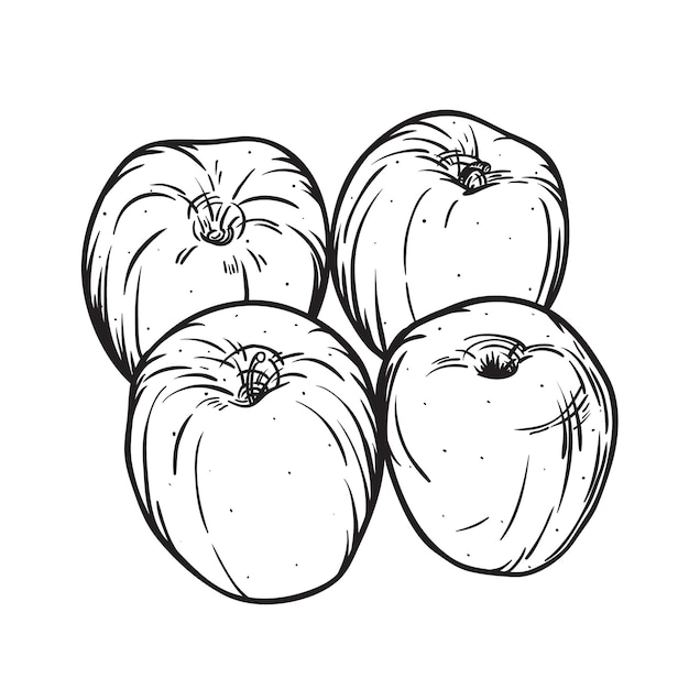 Set of hand drawn doodle apple illustration in sketch