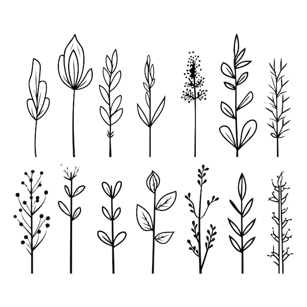 Vector set of hand drawn doodle herbs and plants