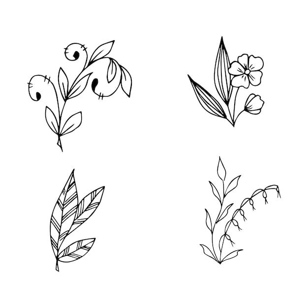 Set di elementi vegetali doodle disegnati a mano per il concetto di design floreale