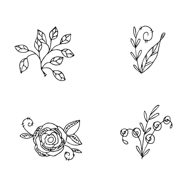 Vector set of hand drawn doodle plant elements for floral design concept