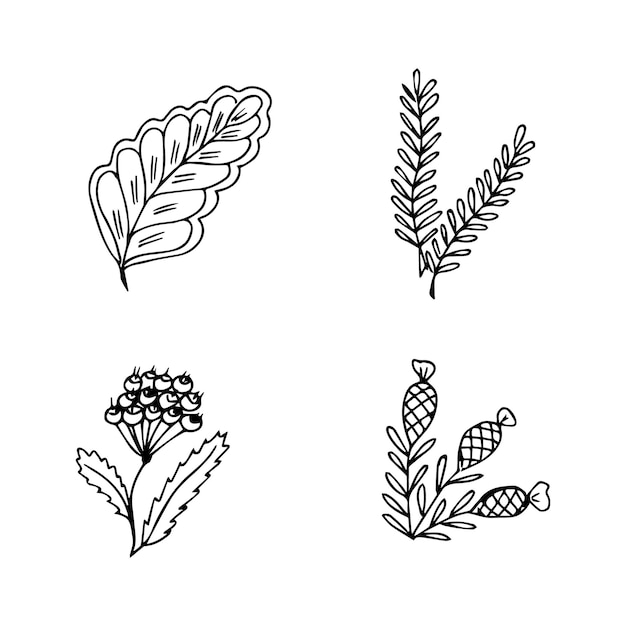 Set of hand drawn doodle plant elements for floral design concept