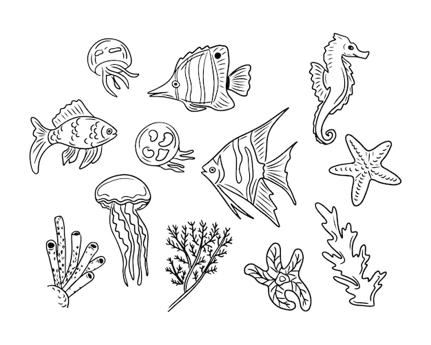 Set of hand drawn doodle sea fish Vector isolated sketch creatures on white background