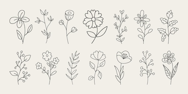 Set di fiori minimalisti disegnati a mano in stile doodle con foglie eleganti.