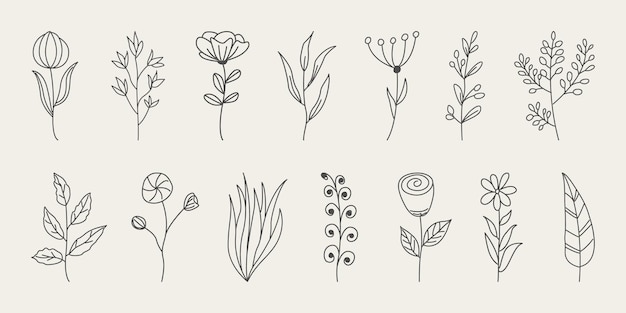 Vettore set di fiori minimalisti disegnati a mano in stile doodle con foglie eleganti.