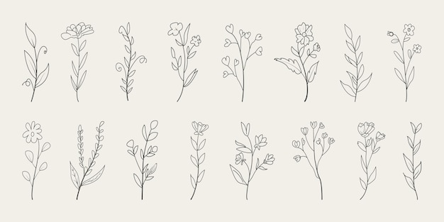 Vettore set di fiori minimalisti disegnati a mano in stile doodle con foglie eleganti.