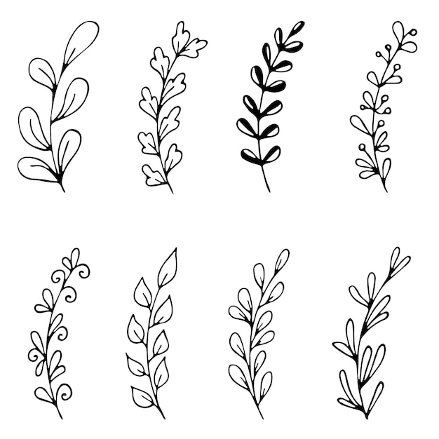 Set of hand drawn doodle tree branches with leaves on white background floral vector frames