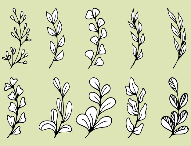 Set di foglie e rami vettoriali doodle disegnati a mano collezione di elementi vegetali floreali ad albero