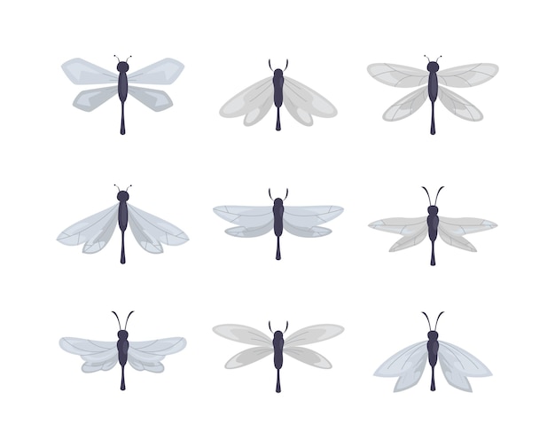 Vector set of hand drawn dragonfly