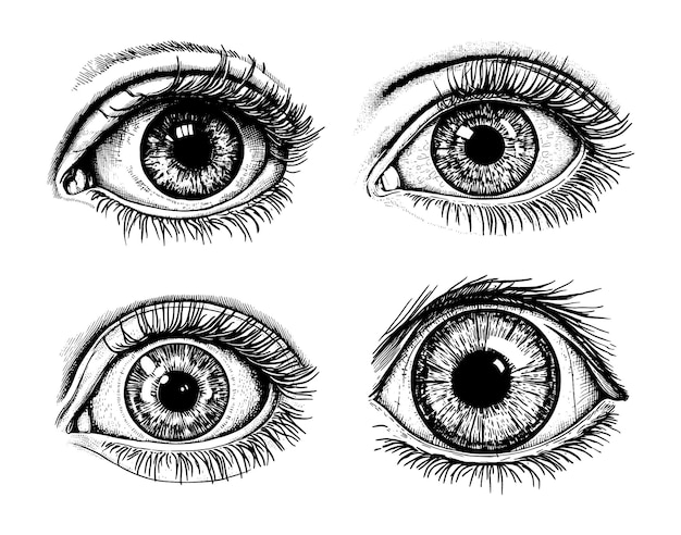 Set of hand drawn eyes