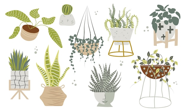 Set of hand drawn flat tropical potted house plants in Scandinavian style. Illustration of modern home decor. flowers design.