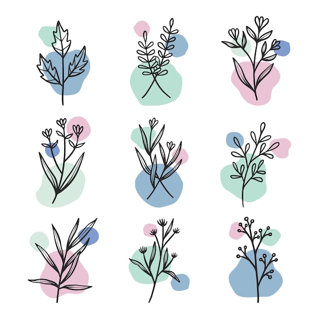 Set of hand drawn floral botanical elements