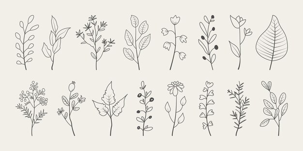 Vector set of hand drawn floral branches with leaves floral botanical doodle collection