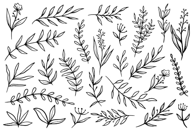 Vector set of hand drawn floral decoration elements