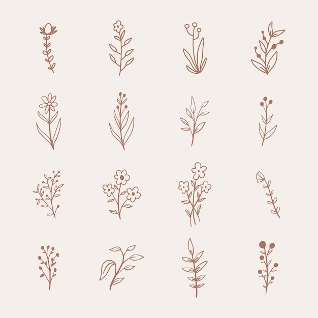 Vector set hand drawn floral decorative elements