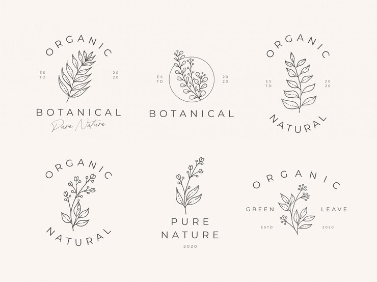 Vector set of hand drawn floral with leaves and branches