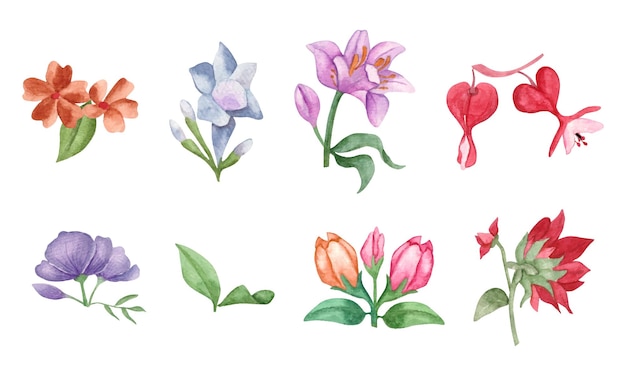 Set di fiori e foglie disegnati a mano per qualsiasi decorazione