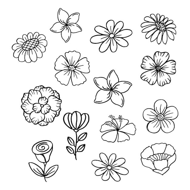 Set of hand drawn flower vector