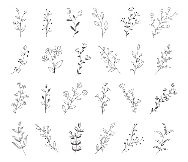 Vector set of hand drawn flowers, branches and leaves