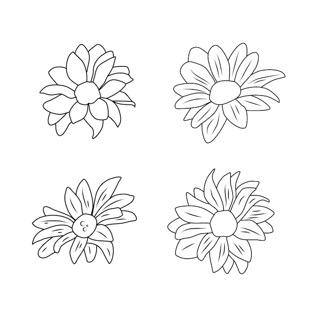 set of hand drawn flowers. chrysanthemum set. Flowers line art. Flowers chrysanthemum vector