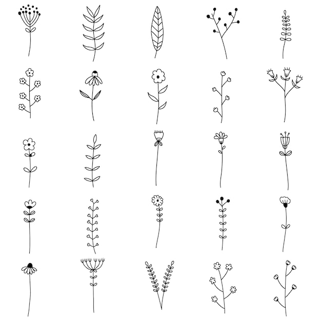 Vector set of hand drawn flowers and leaves