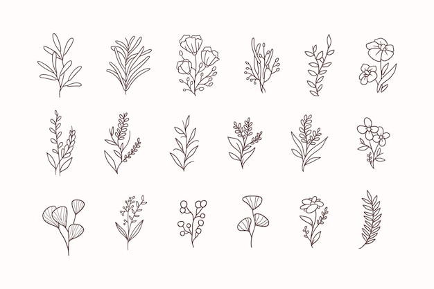 set of hand drawn flowers logo