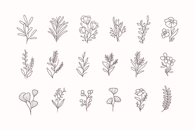 set of hand drawn flowers logo