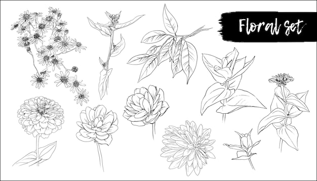 Set di fiori e piante disegnati a mano. illustrazione vettoriale.