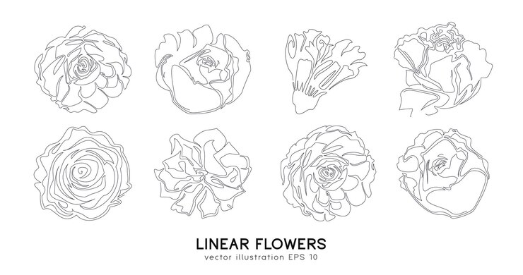 Vector 単線スタイルの手描きの花のセット。花のシルエットのスケッチ