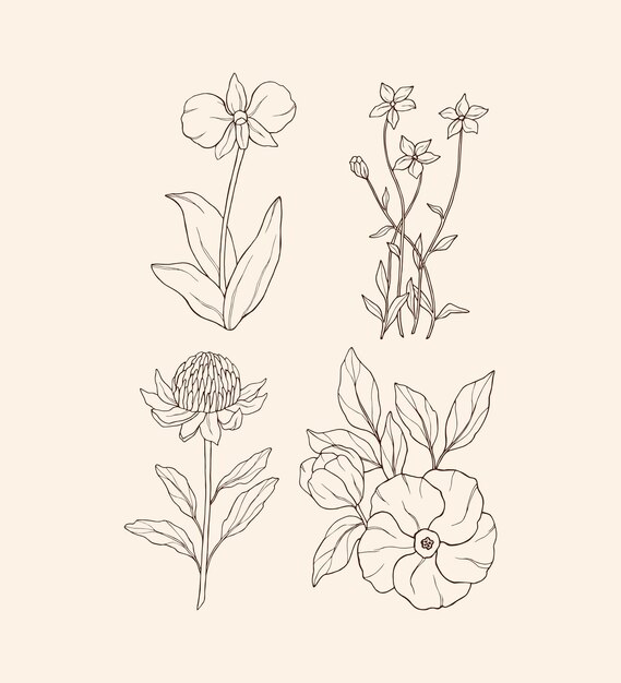 Vector set of hand drawn flowers