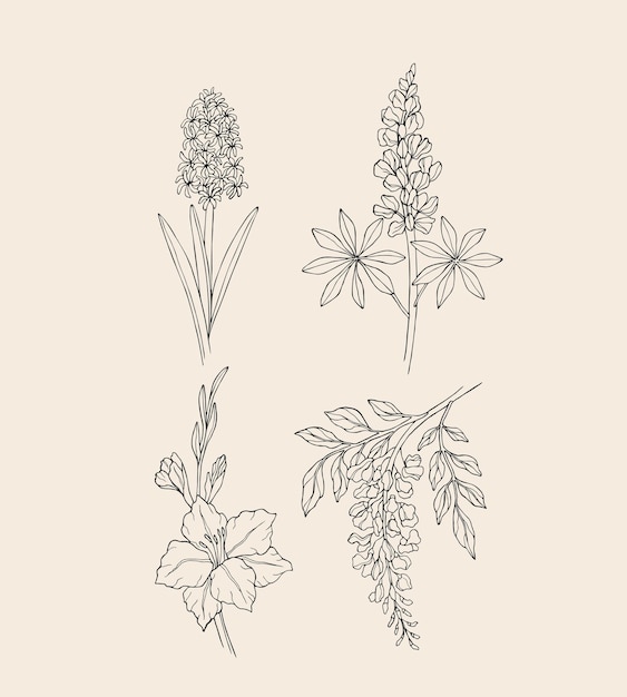 Vector set of hand drawn flowers