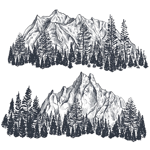 Set of hand drawn graphic mountain ranges with pine forest nature landscape