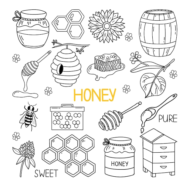 Vector set of hand drawn honey doodle set.