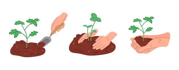 Vector set hand drawn illustrations of planting tree in the ground with human hands home gardening